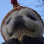 てや