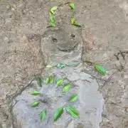 さゆの画像