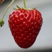 aajbbcの画像
