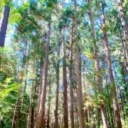 pa7の画像