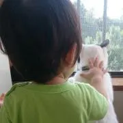 ⚠プロフ必読⚠ぴよ汰(๑•̀ㅁ•́ฅ✧