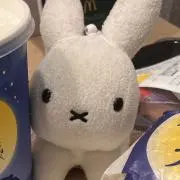 えの画像