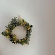 June.の画像