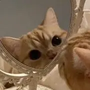 riの画像