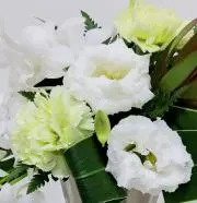 花はなの画像