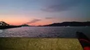 YANの画像