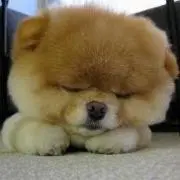 たっちゃん
