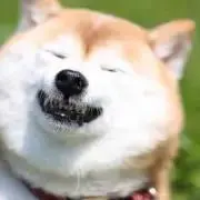 木村の画像