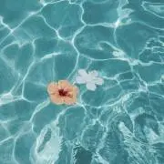 Image of もずく