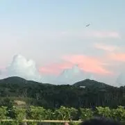 mkの画像