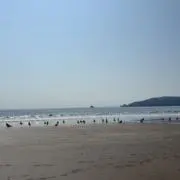 TDLの画像