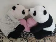 ますぱんの画像