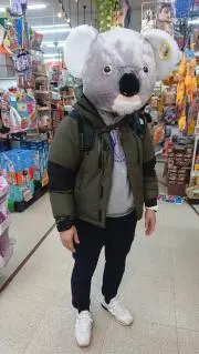 レオの画像