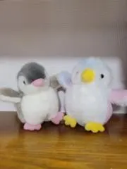 わたげ☆*の画像