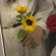 ひまわりの画像