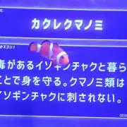 カクレの画像