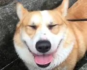 s k