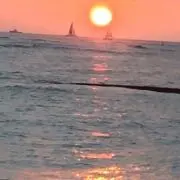 しろみ