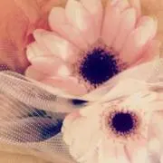 ハリーの画像