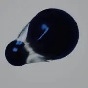 dotsの画像