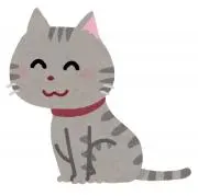 ねこさんの画像