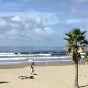takashiの画像