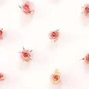 m3213の画像