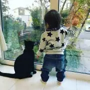しろぶた
