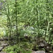 mitta☆プロフ必読の画像