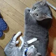 ひろP