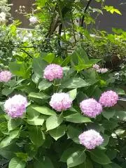 花紡ぎプロフィール一読お願い致します。
