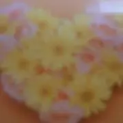 mimimasan