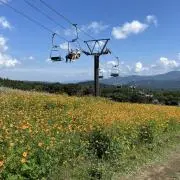 まつだんの画像