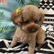 ＊coco＊