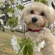 Ranの画像