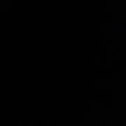 ei