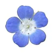 yykct0811の画像