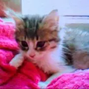 うーたんの画像