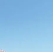 ENTの画像