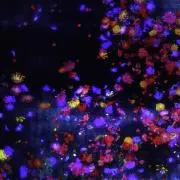 フォローで5%オフOSHINO WEAR