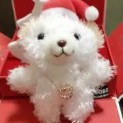 しぴ。の画像