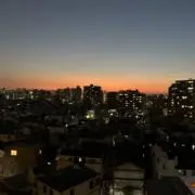 タカレイワの画像