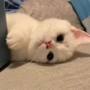 mの画像