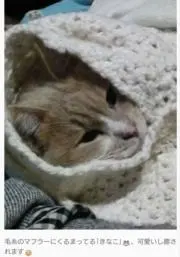 郁音
