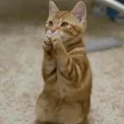ゆ〜と✩