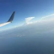 ぽむぽむぽんの画像