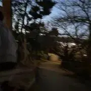 やの画像
