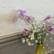 すの画像