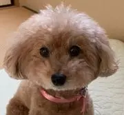もち子