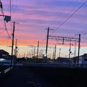 なすの画像